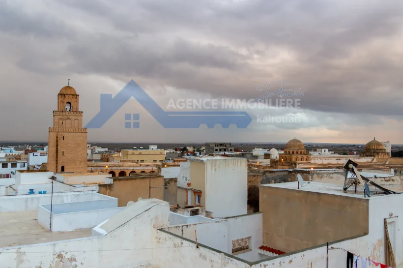 Essential Tips for Buying Property in Kairouan