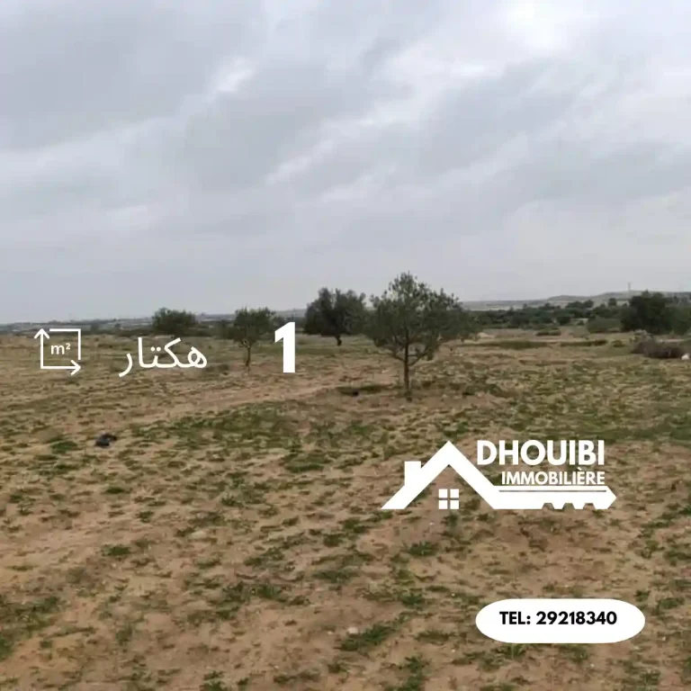 terrain-agricole-a-vendre-kairouan